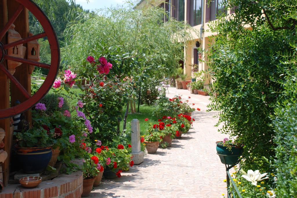 Villa Giulia Islaz Exterior foto